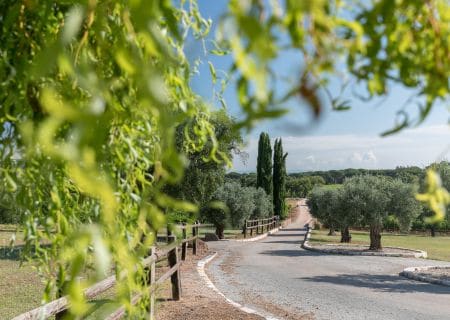 Arriving at La Bastide